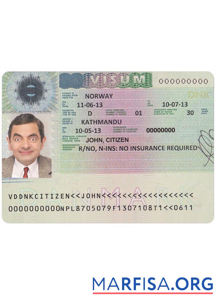 Realistic Denmark visa sample